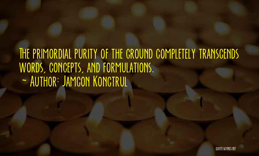 Jamgon Kongtrul Quotes 158874