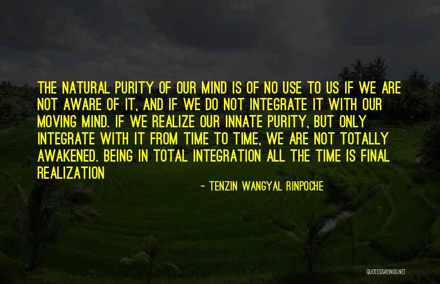 Jamian Juliano Villani Quotes By Tenzin Wangyal Rinpoche Jamian Juliano Villani Quotes By Tenzin Wangyal Rinpoche
