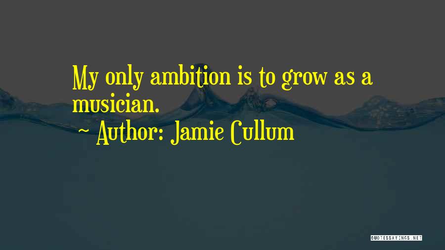 Jamie Cullum Quotes 1323909