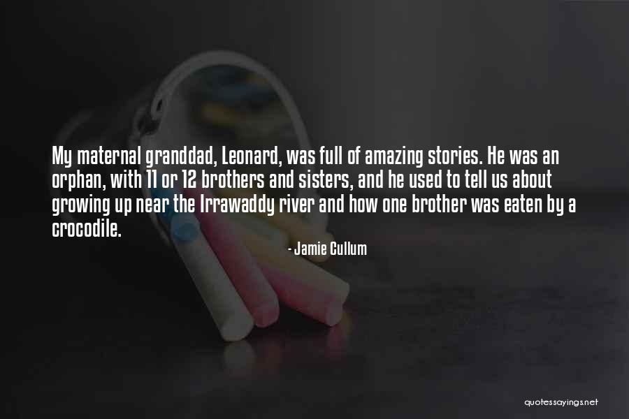 Jamie Cullum Quotes 86882 Jamie Cullum Quotes 86882