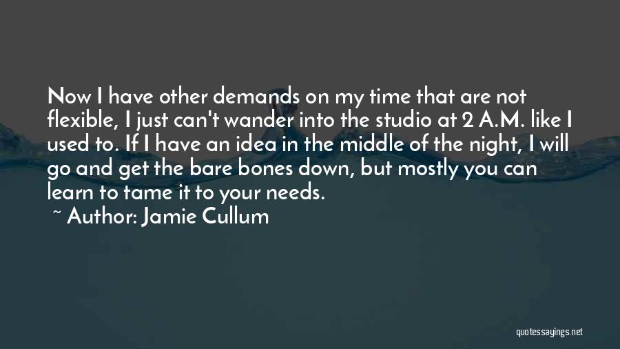 Jamie Cullum Quotes 893556