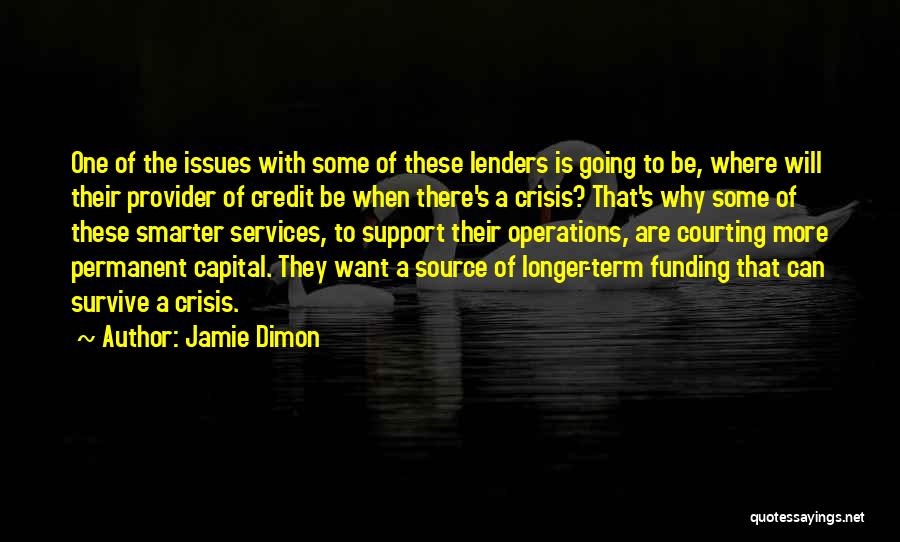 Jamie Dimon Quotes 1088348