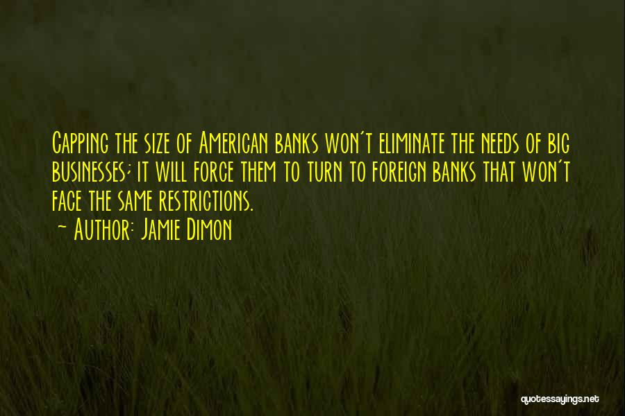 Jamie Dimon Quotes 556300