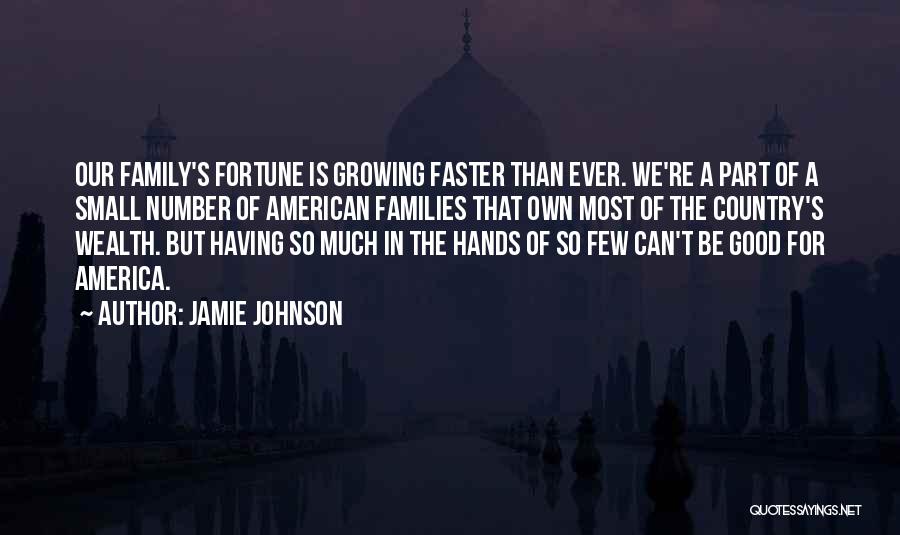 Jamie Johnson Quotes 1579149