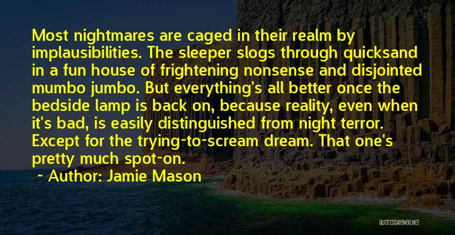 Jamie Mason Quotes 2150349