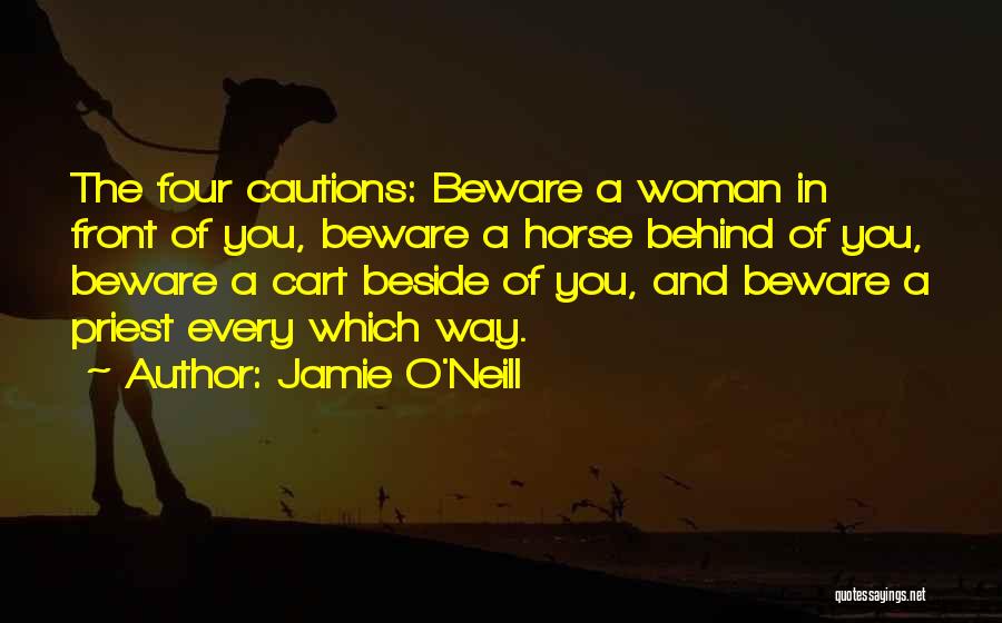Jamie O'Neill Quotes 1353106