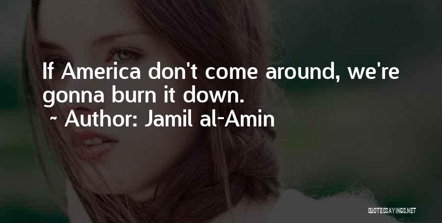 Jamil Al-Amin Quotes 2066908