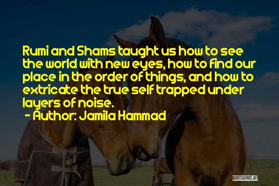 Jamila Hammad Quotes 1773854