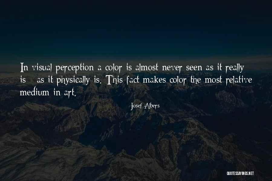 Jamileh Sheikhi Quotes By Josef Albers