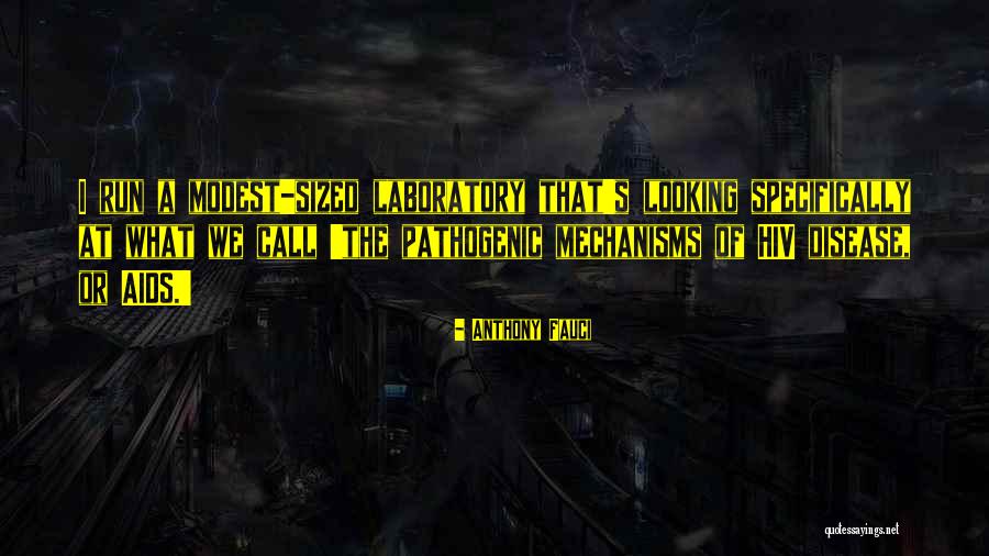 Jamiroquai Space Quotes By Anthony Fauci Jamiroquai Space Quotes By Anthony Fauci