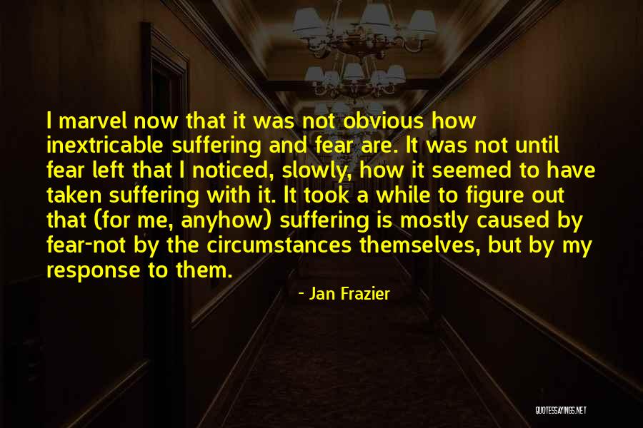 Jan Frazier Quotes 1506202 Jan Frazier Quotes 1506202