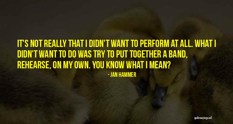 Jan Hammer Quotes 1954836