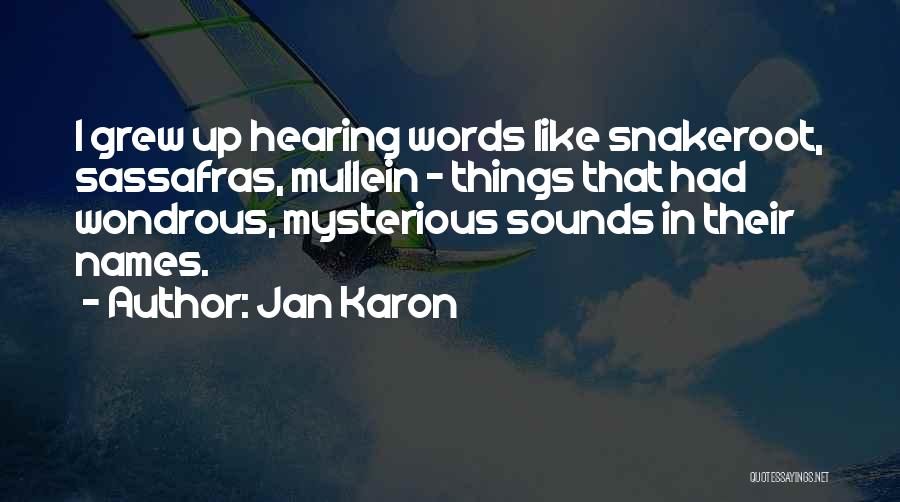 Jan Karon Quotes 1198799