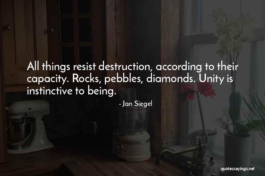 Jan Siegel Quotes 983743