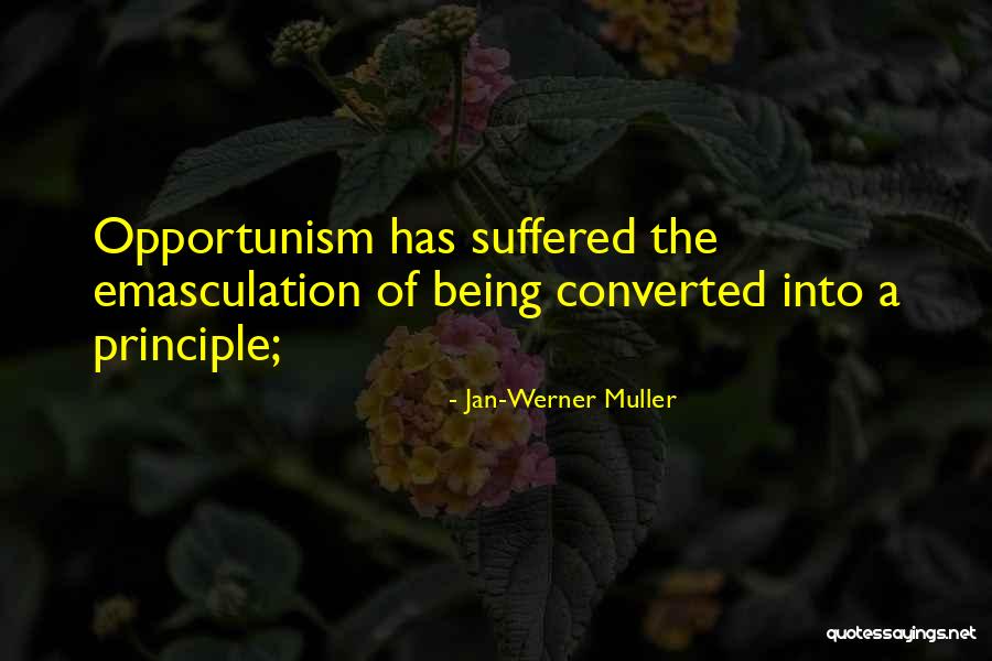 Jan-Werner Muller Quotes 139710