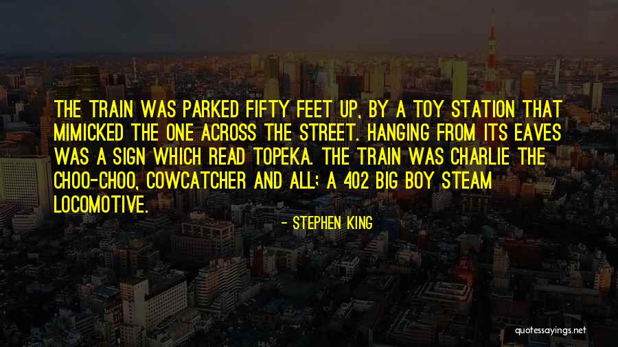 Janardan Swami Quotes By Stephen King Janardan Swami Quotes By Stephen King