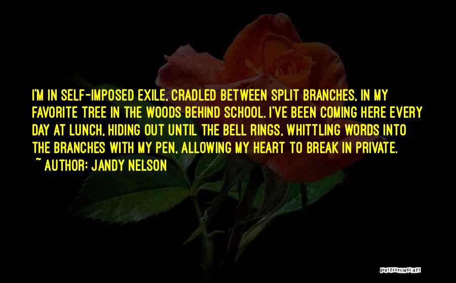 Jandy Nelson Quotes 1753968