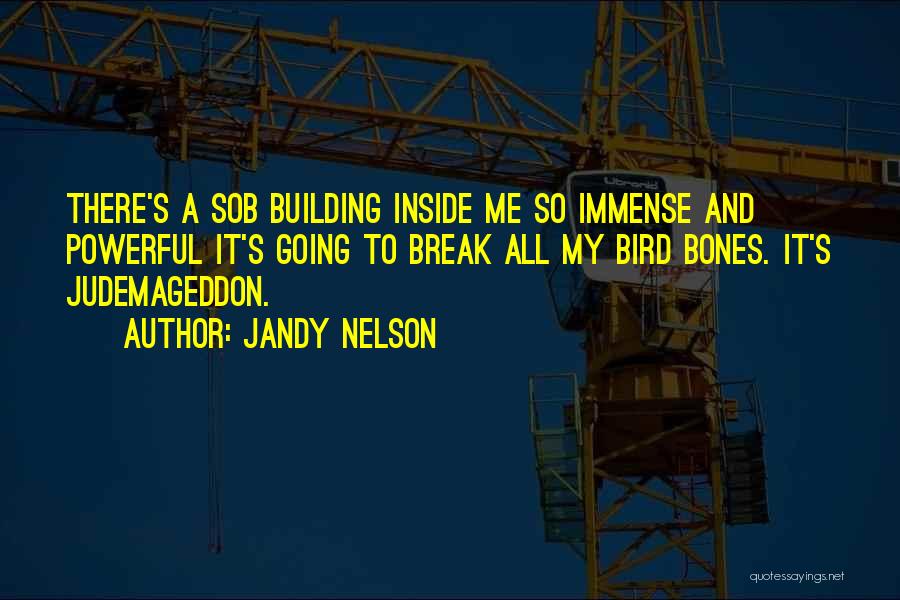 Jandy Nelson Quotes 655994