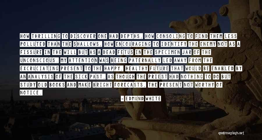 Jane And Jesse Quotes By Edmund White Jane And Jesse Quotes By Edmund White