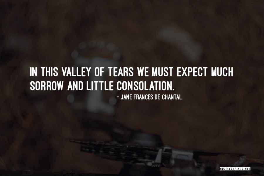 Jane De Chantal Quotes By Jane Frances De Chantal Jane De Chantal Quotes By Jane Frances De Chantal