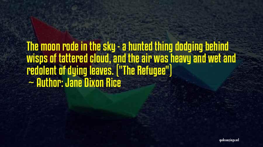 Jane Dixon Rice Quotes 1833401