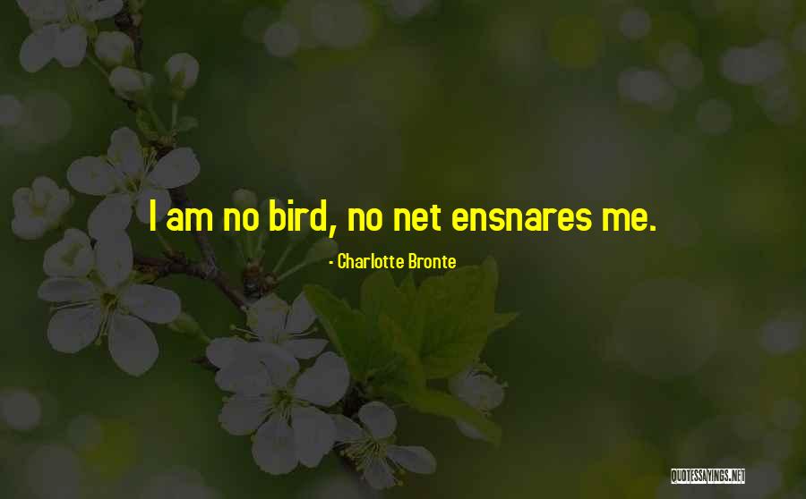 Jane Eyre Bird Quotes By Charlotte Bronte Jane Eyre Bird Quotes By Charlotte Bronte