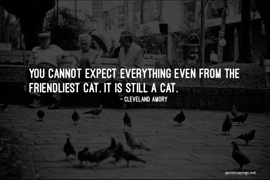 Jane Eyre Chapter 37 Quotes By Cleveland Amory Jane Eyre Chapter 37 Quotes By Cleveland Amory