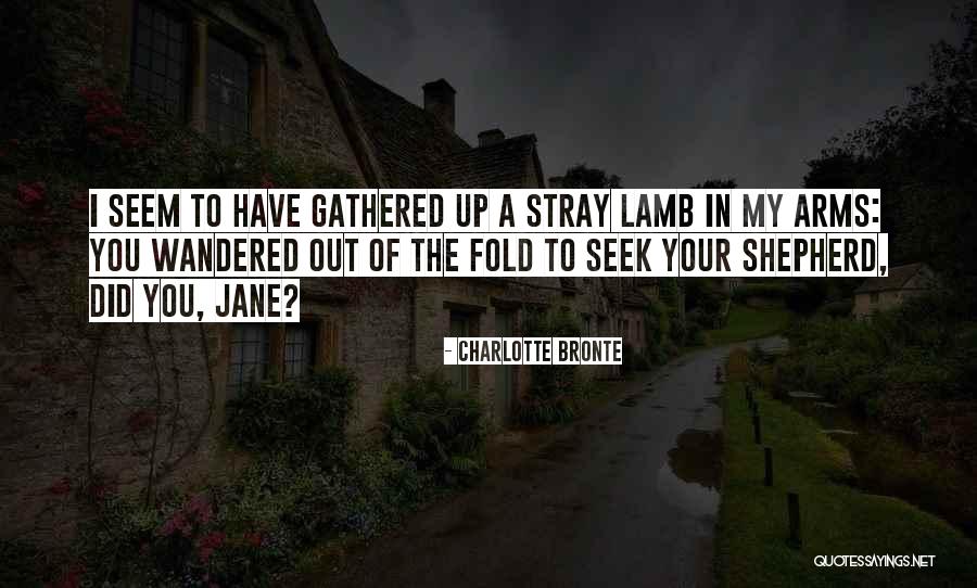 Jane Eyre Jane Quotes By Charlotte Bronte Jane Eyre Jane Quotes By Charlotte Bronte