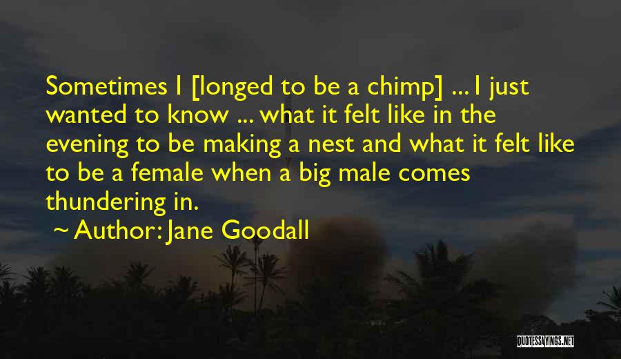 Jane Goodall Chimp Quotes By Jane Goodall