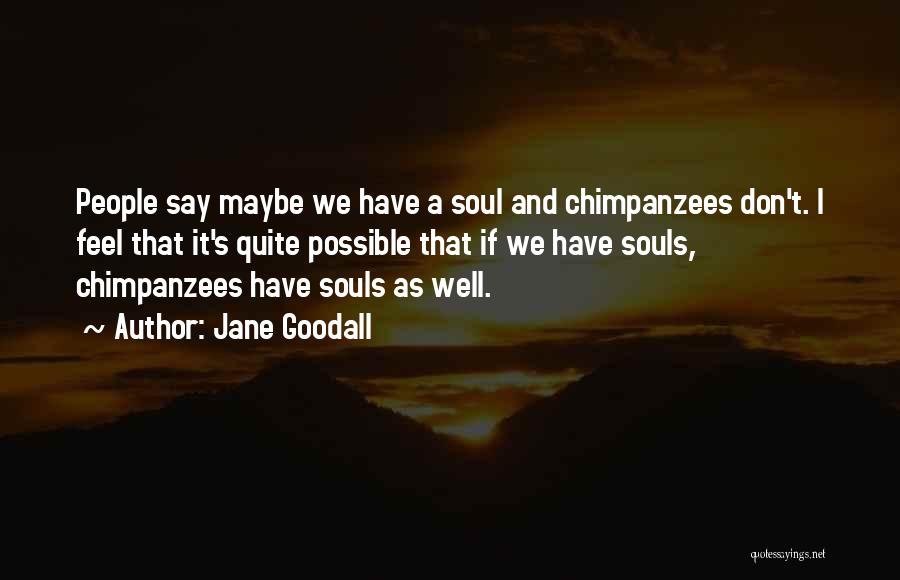 Jane Goodall Quotes 1065781