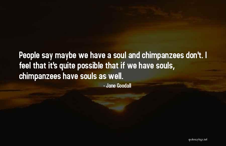 Jane Goodall Quotes 1065781