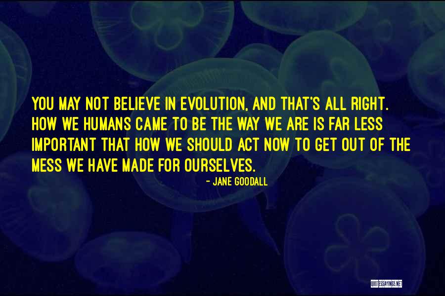 Jane Goodall Quotes 1094116