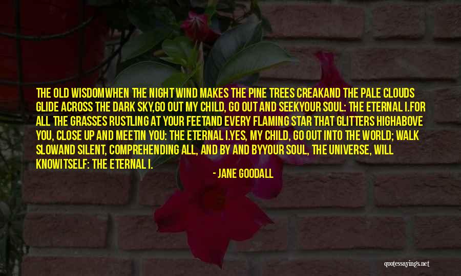 Jane Goodall Quotes 114722 Jane Goodall Quotes 114722