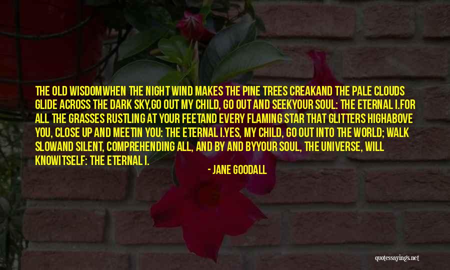 Jane Goodall Quotes 114722