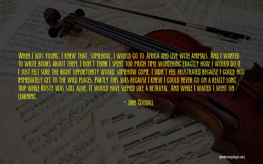 Jane Goodall Quotes 1149288 Jane Goodall Quotes 1149288