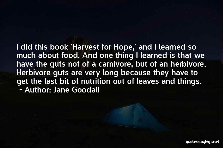 Jane Goodall Quotes 1161459