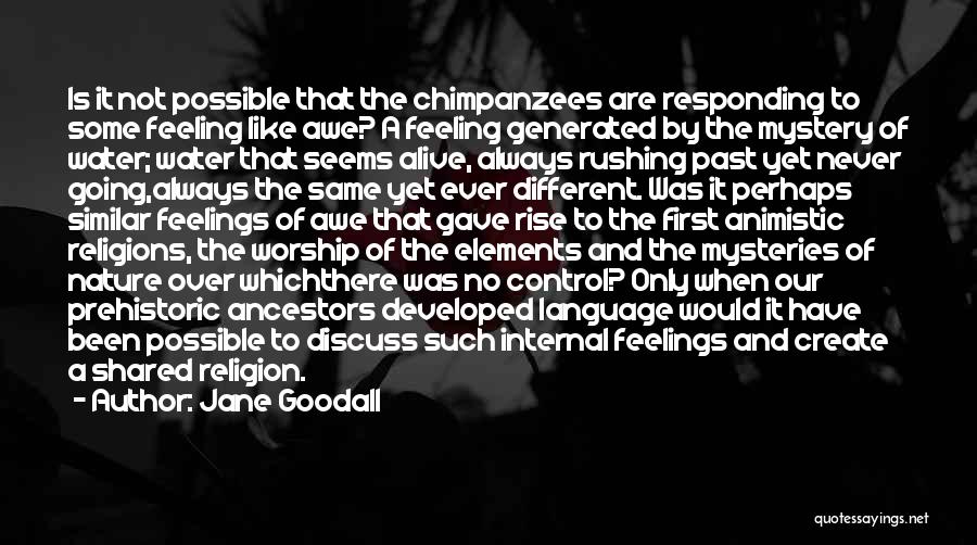 Jane Goodall Quotes 127175