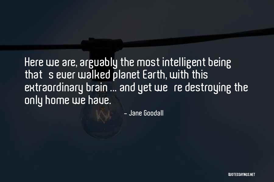 Jane Goodall Quotes 1377075