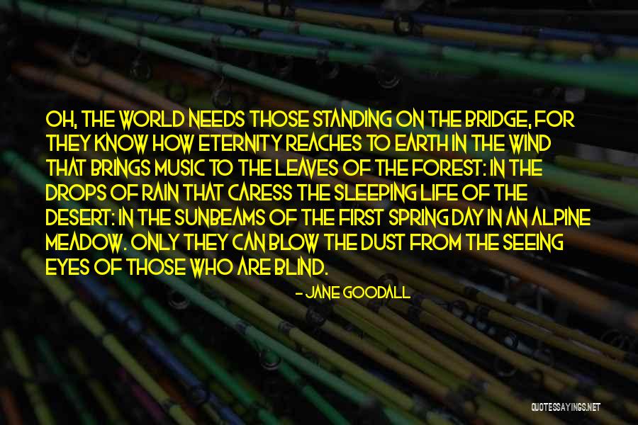 Jane Goodall Quotes 164420 Jane Goodall Quotes 164420