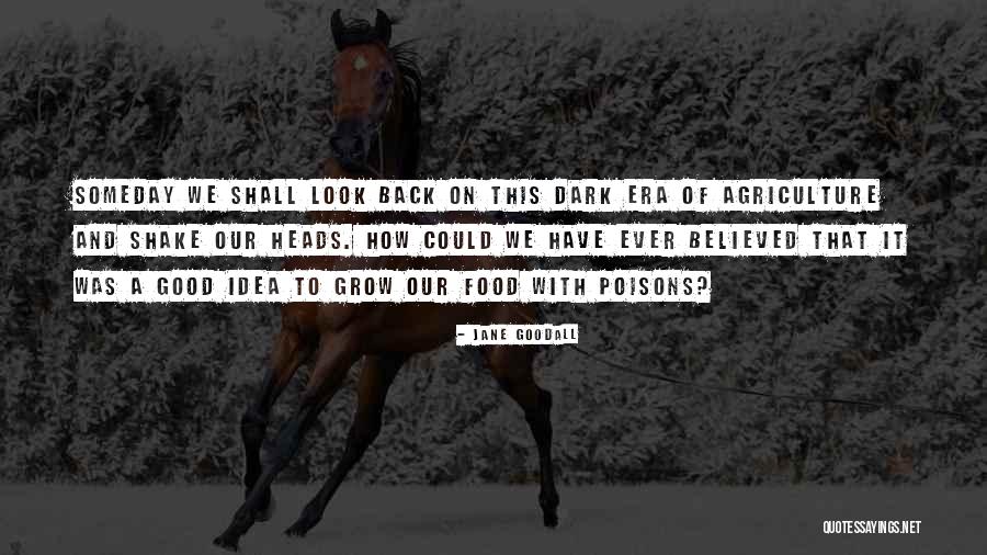 Jane Goodall Quotes 1705143 Jane Goodall Quotes 1705143