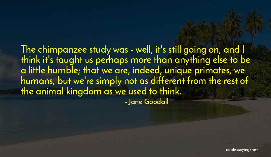 Jane Goodall Quotes 1714922