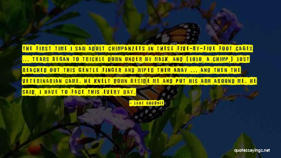 Jane Goodall Quotes 1792786 Jane Goodall Quotes 1792786