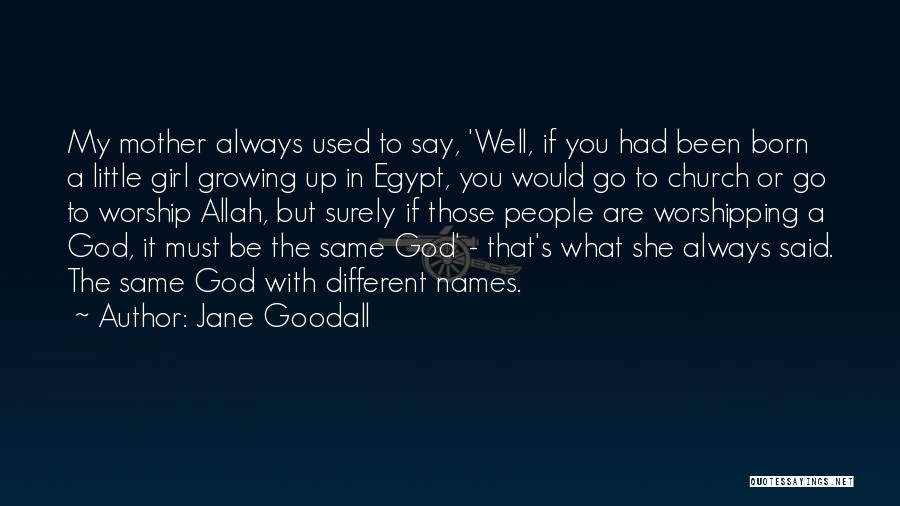 Jane Goodall Quotes 1928537