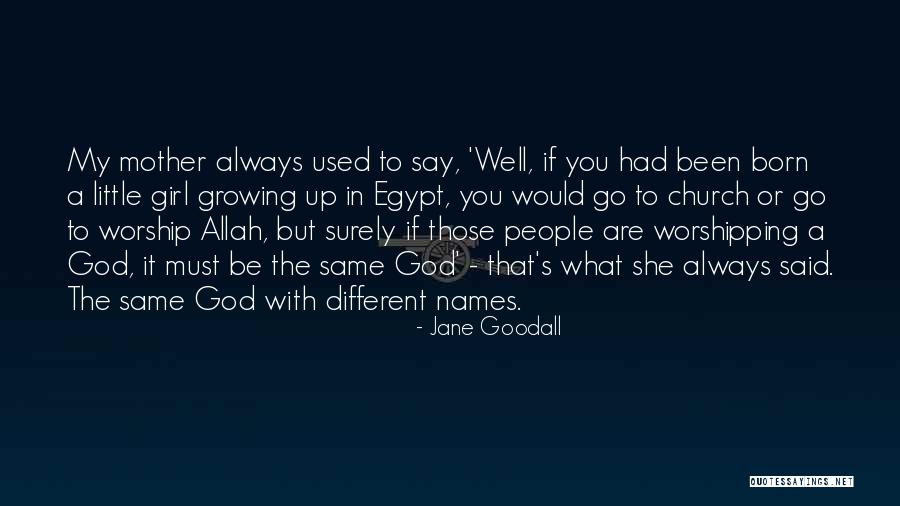 Jane Goodall Quotes 1928537 Jane Goodall Quotes 1928537