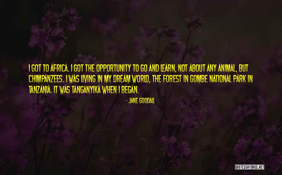 Jane Goodall Quotes 2151670 Jane Goodall Quotes 2151670