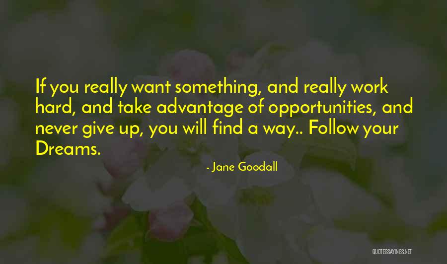 Jane Goodall Quotes 225990 Jane Goodall Quotes 225990