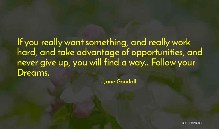 Jane Goodall Quotes 225990