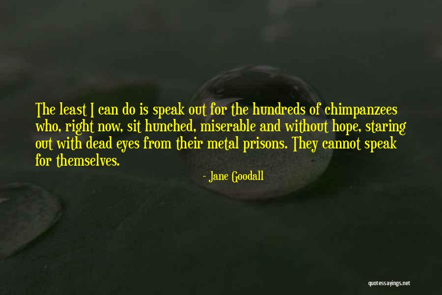 Jane Goodall Quotes 504928