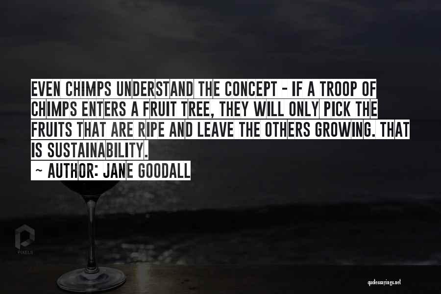 Jane Goodall Quotes 669543