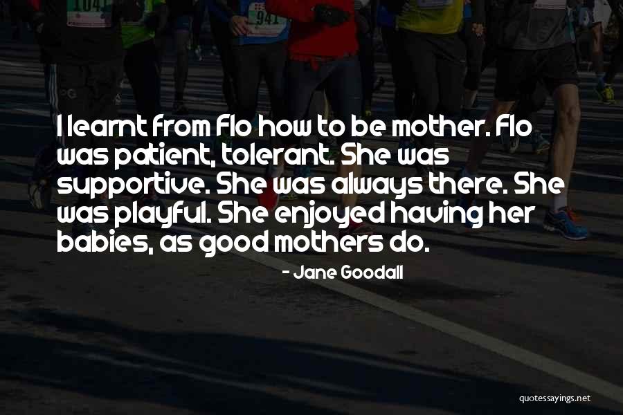 Jane Goodall Quotes 725789 Jane Goodall Quotes 725789